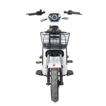 Bicicleta Eléctrica E-Hermas GT