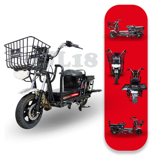 Bicicleta Eléctrica JL18