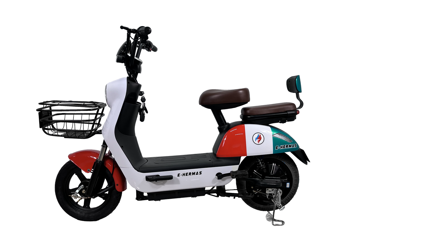 Bicicleta Eléctrica E-Hermas A01