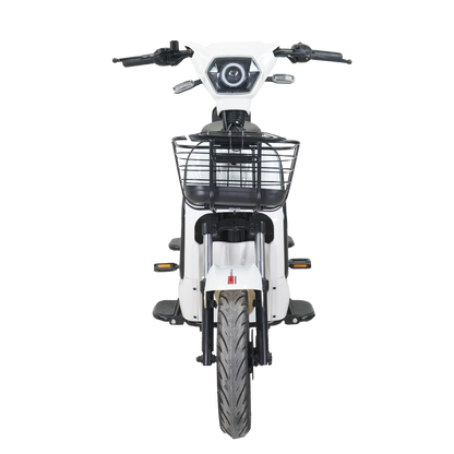 Bicicleta Eléctrica E-Hermas GT