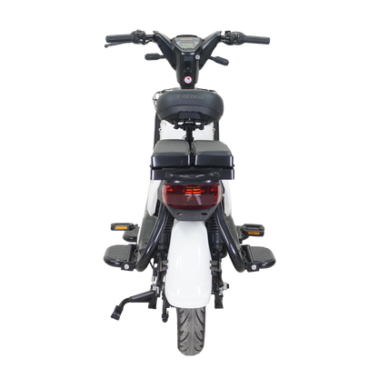 Bicicleta Eléctrica E-Hermas GT